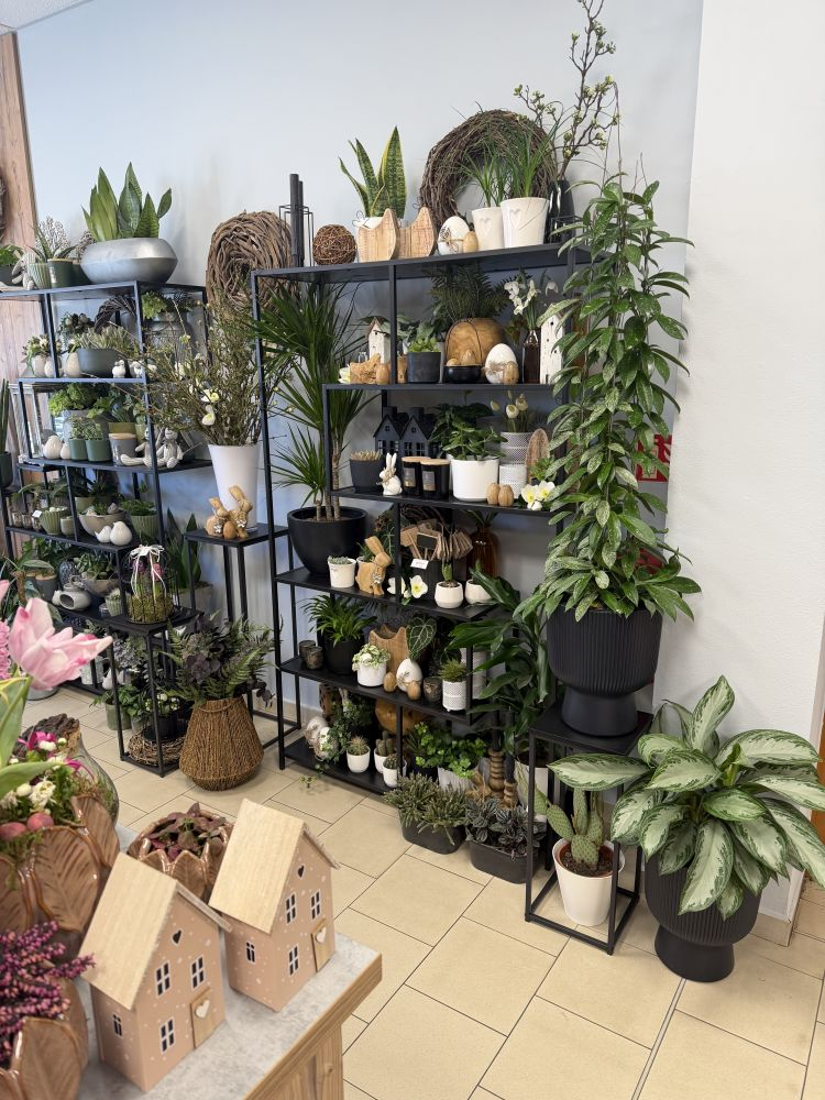 Židlochovice Vonekl